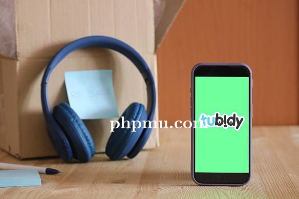Cara Menyusun Playlist Musik Pribadi dari Tubidy